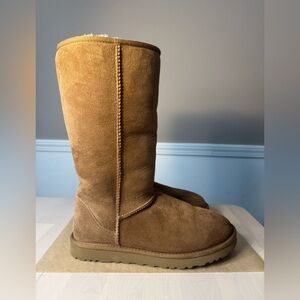 UGG Chestnut Suede Boots